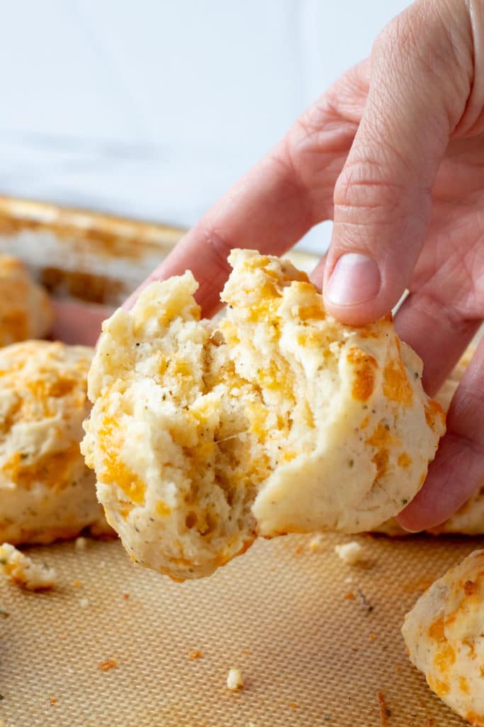 Baked Cheddar Garlic Biscuit being pulled apart over a pan of baked biscuits. 