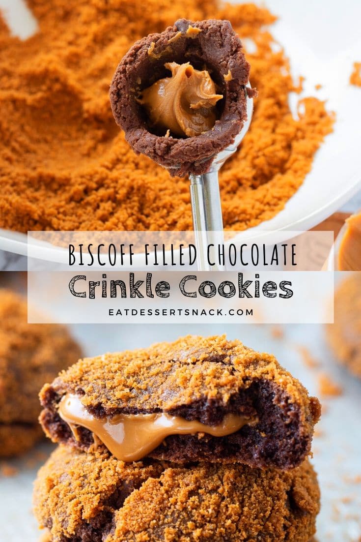 Cookie Scoop with chocolate dough and cookie butter and baked chocolate cookie. 