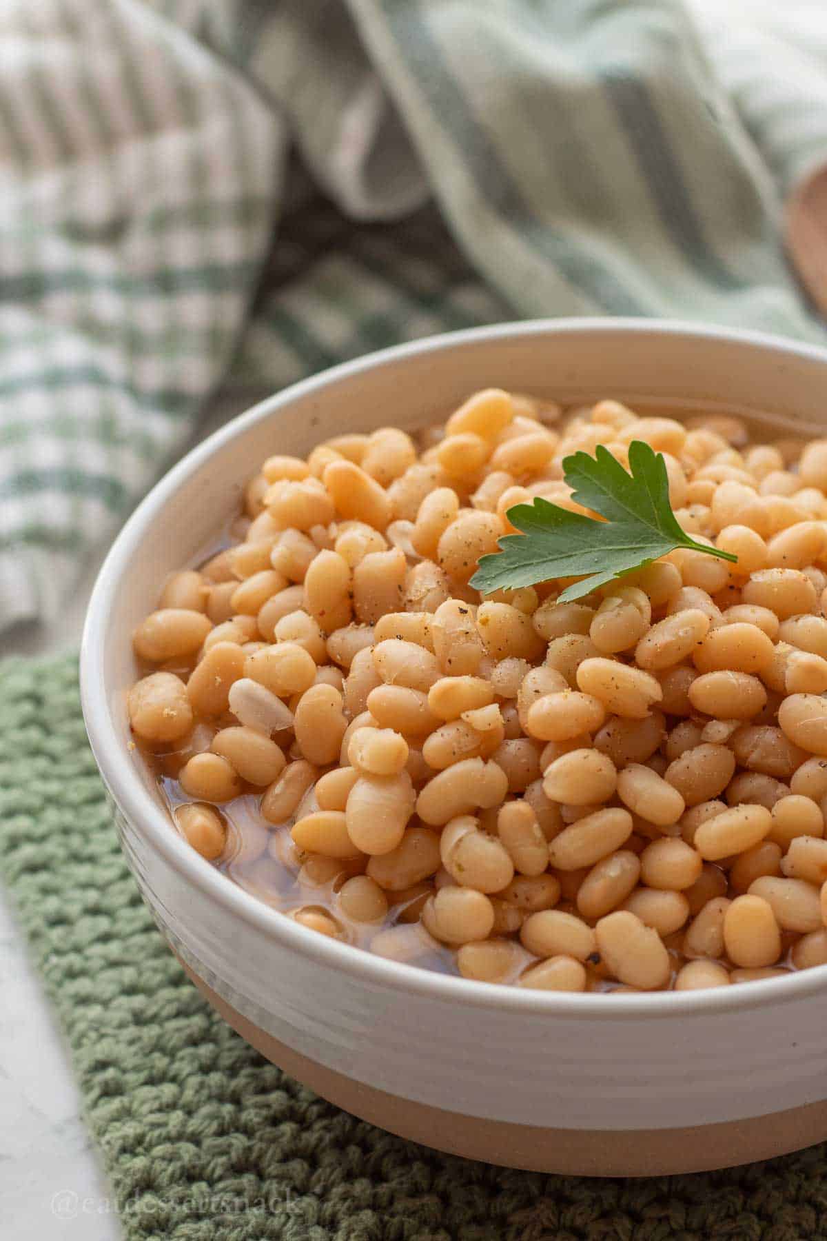 Cooked navy beans in bowl with parsley on top.