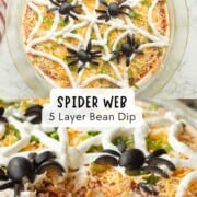 5 layer bean dip in 9 inch pie pan.