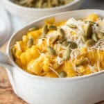 Pumpkin sauce on pasta with pepitas in bowl.