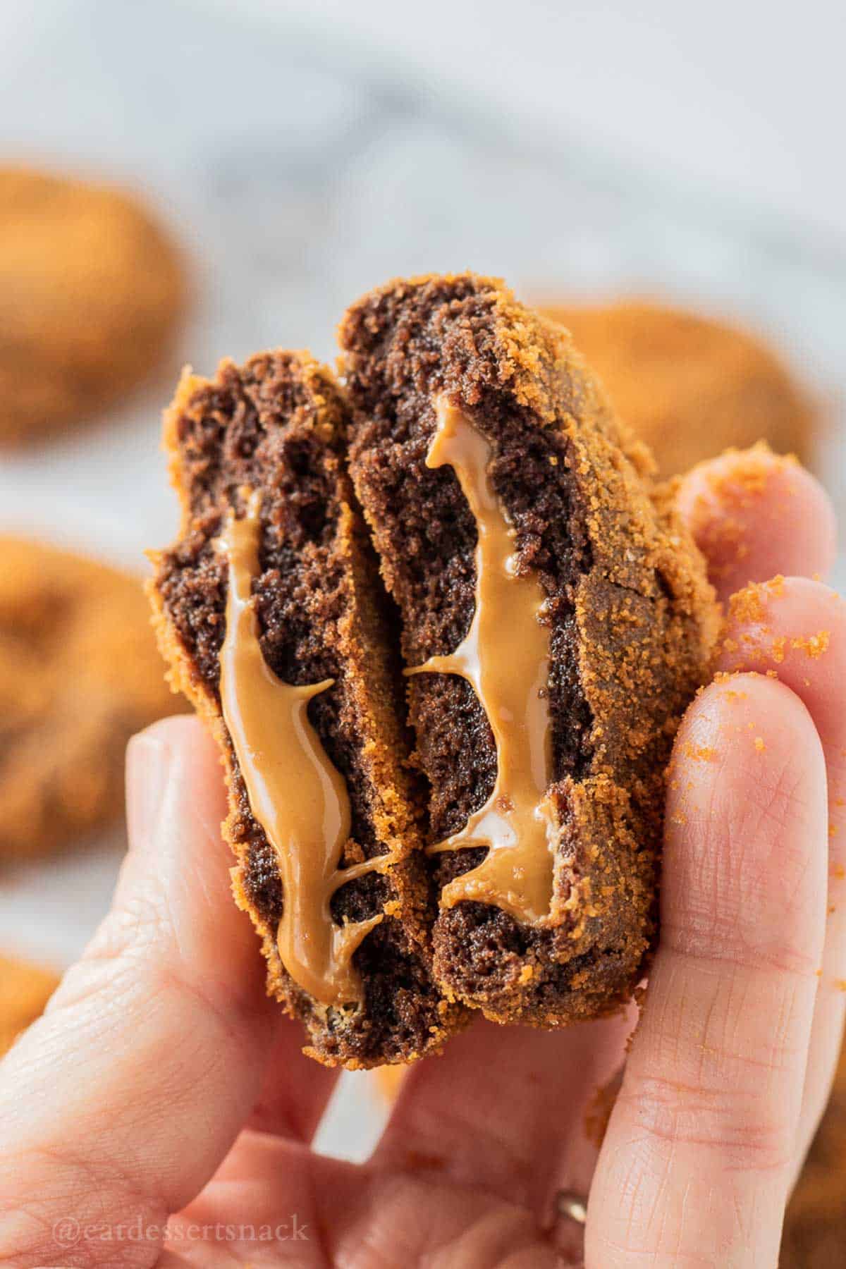Hand holding halves of melty chocolate cookie butter cookie.