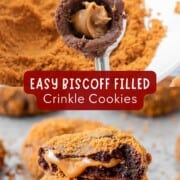 Collage of cookie butter in raw cookie dough and baked cookie.